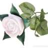 Роза светящаяся белая 35 см - rosew2.jpg