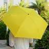 Зонт Банан - 95276b-4.jpg