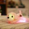 Светящаяся плюшевая собачка mini 35 см - Светящаяся плюшевая собачка mini 35 см